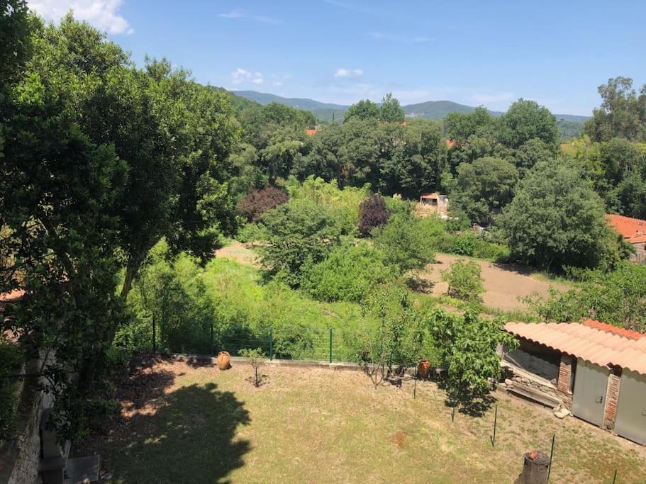 Au Coeur De Ville Avec Terrasse Céret Exterior photo